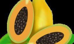 吃瓜人物免费模型下载,轻松打造趣味动画角色