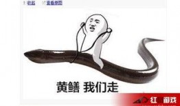 黄鳝们视频在线观看