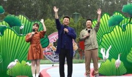 安德鲁最新爆料贵妃视频,贵妃视频背后的惊人真相