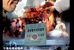 黑太阳在线观看,揭秘二战日军罪行，在线观看震撼心灵