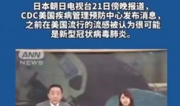 日本病毒爆料视频最新版,真相与阴谋交织