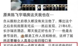 陈大锤最新爆料视频大全,揭秘娱乐圈幕后真相