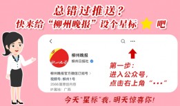 柳州最新爆料新闻,惊现神秘事件，真相令人震惊！