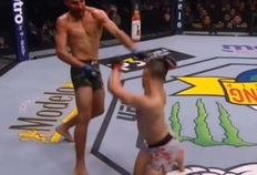 踢拳选手最新爆料,踢拳选手揭秘幕后真相