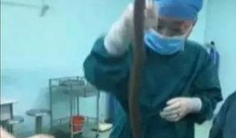 黄鳝们视频在线观看