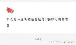 爆料娱乐圈的文案,揭秘明星背后的秘密与真相