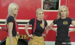 啄木鸟剧情片在线观看,揭秘森林守护者的传奇故事