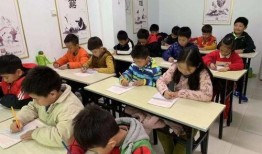 开封小学生最新爆料,校园生活新鲜事大揭秘