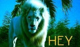 lion在线观看,在线观看狮子传奇