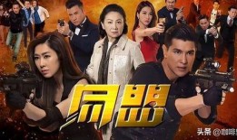 同盟 电视剧在线观看,揭秘抗战时期神秘组织传奇