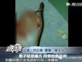黄鳝们视频在线观看