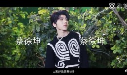 蔡徐坤爆料视频大全集高清,揭秘偶像背后的真实故事