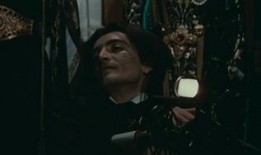 啄木鸟剧情片在线观看,揭秘森林守护者的传奇故事