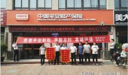 河南平安保险最新爆料,揭秘保险行业内幕，保障消费者权益！