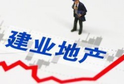 建业地产最新爆料,揭秘未来发展规划与战略布局