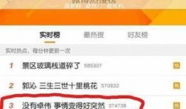 卓伟暑假爆料事件视频,揭秘娱乐圈幕后真相